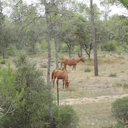 Holiday home Claret *