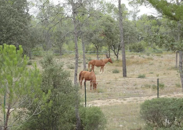 Casa de Férias Claret *