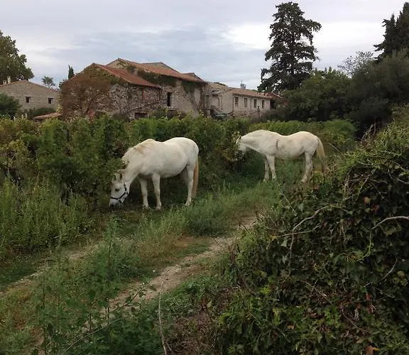 Casa de Férias Claret